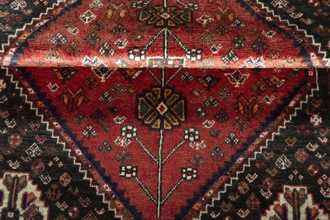 Shiraz - 8