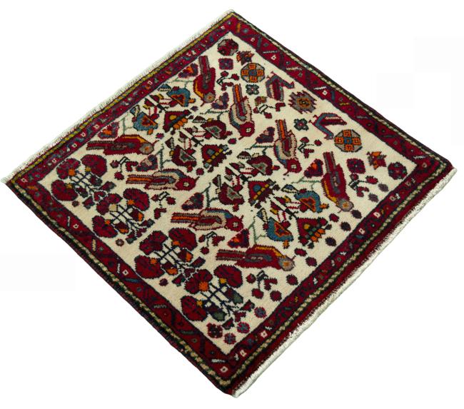 Shiraz - 2