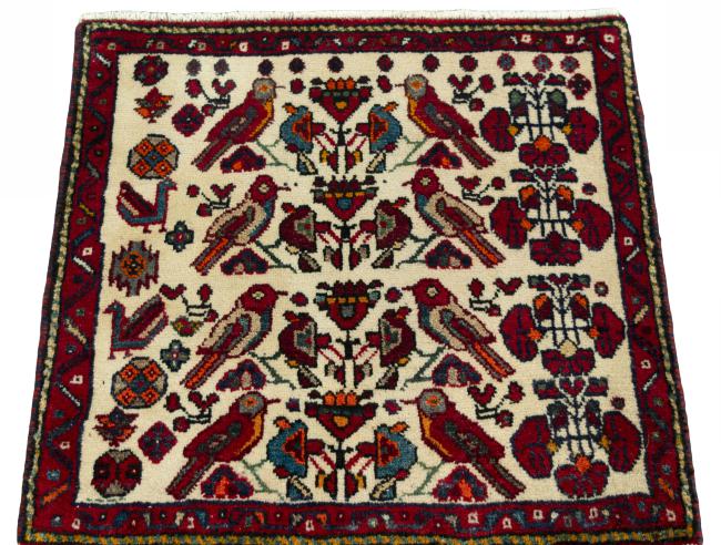 Shiraz - 3