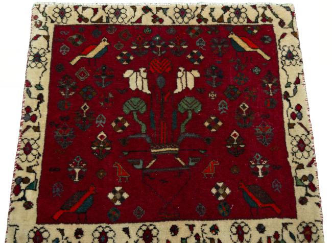 Shiraz - 3