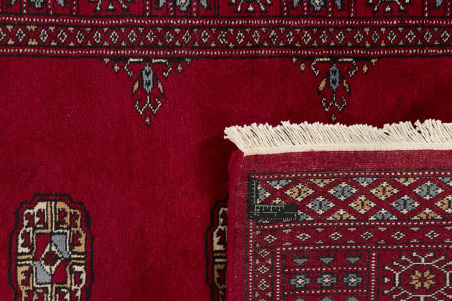 Pakistan Buchara 3ply - 1