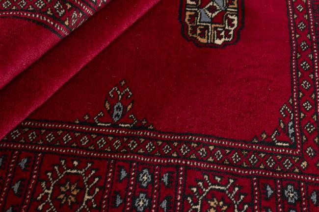 Pakistan Buchara 3ply - 2