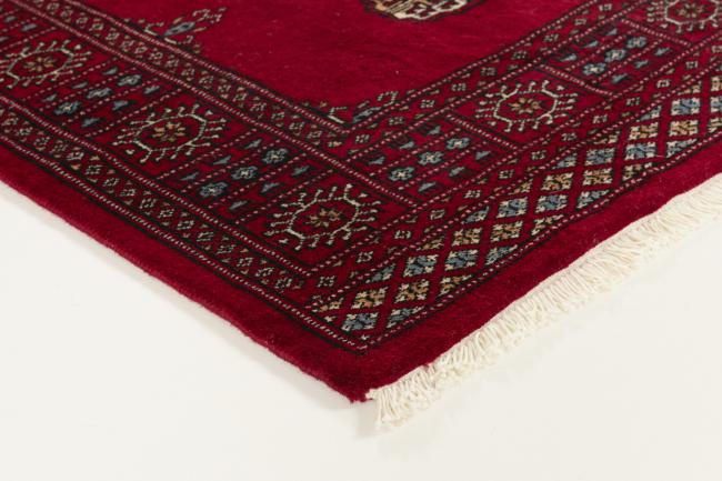 Pakistan Buchara 3ply - 3