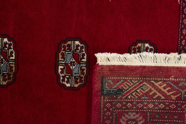 Pakistan Buchara 3ply - 1