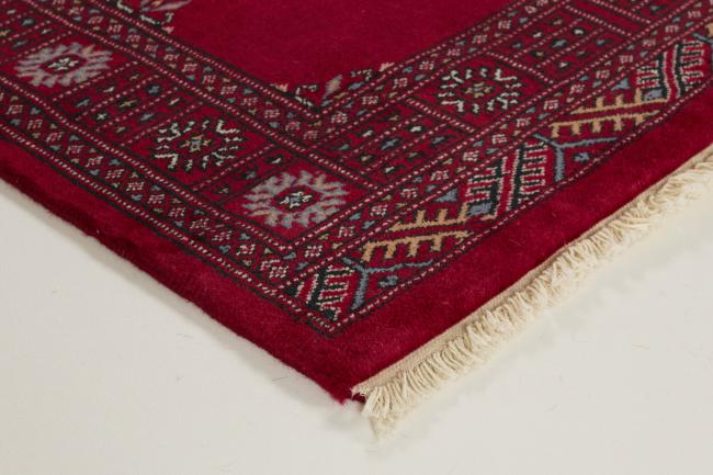 Pakistan Buchara 3ply - 3