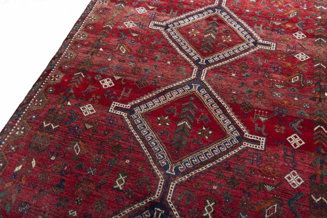 Shiraz - 5