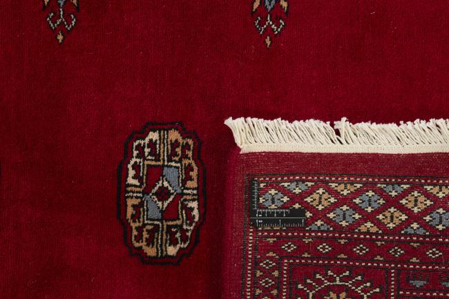 Pakistan Buchara 3ply - 1