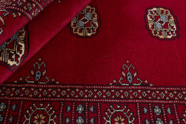Pakistan Buchara 3ply - 2