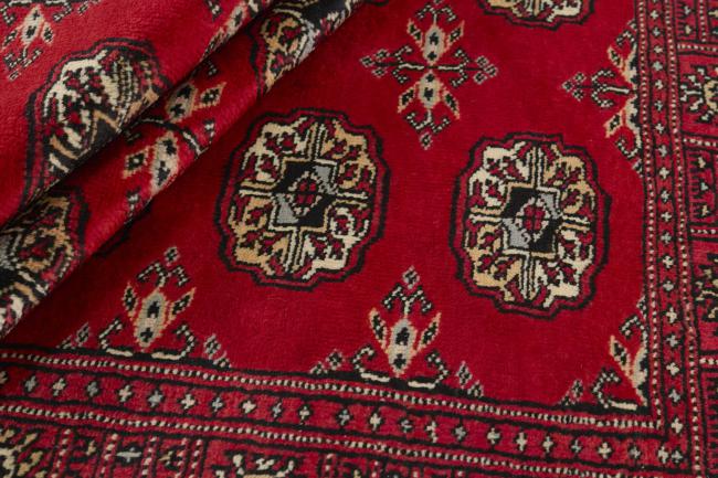 Pakistan Buchara 3ply - 2