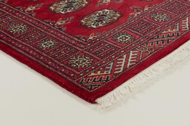 Pakistan Buchara 3ply - 3