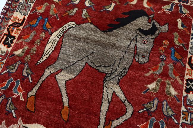 Shiraz - 6