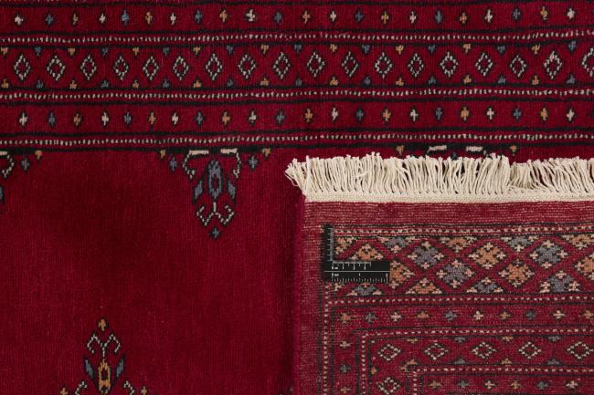 Pakistan Buchara 2ply - 1