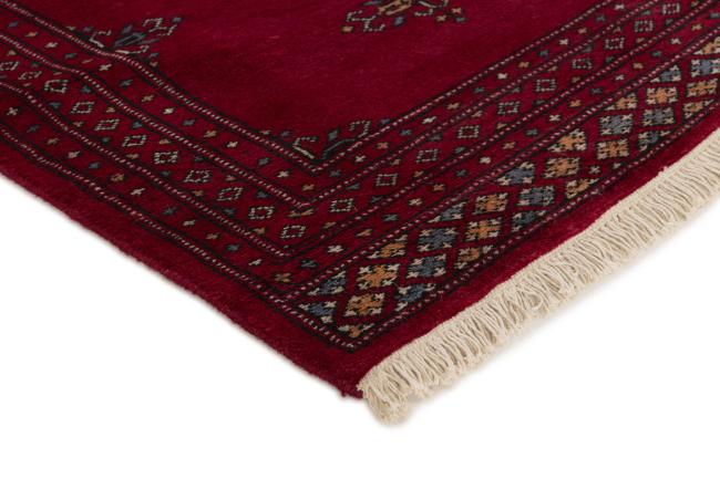 Pakistan Buchara 2ply - 3