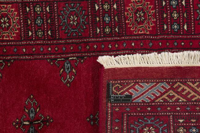 Pakistan Buchara 3ply - 1