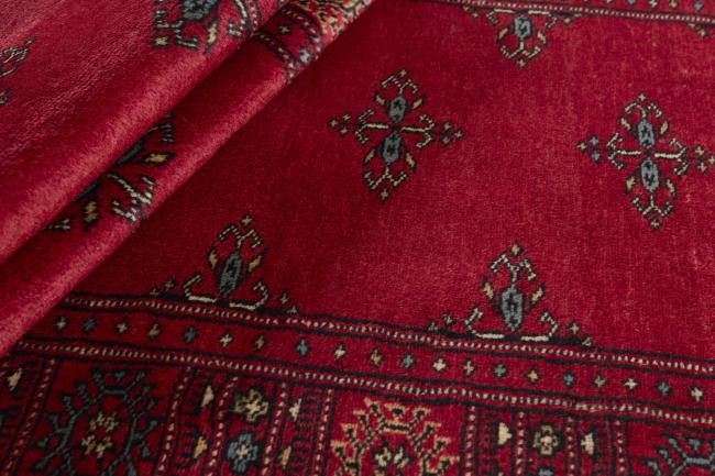 Pakistan Buchara 3ply - 2