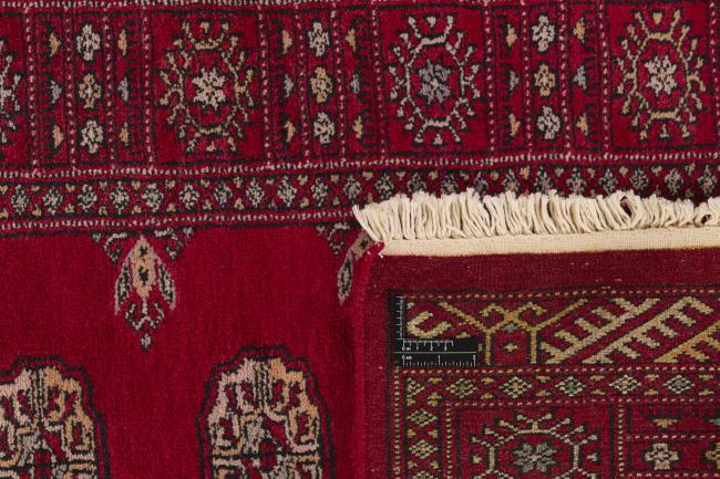 Pakistan Buchara 3ply - 1