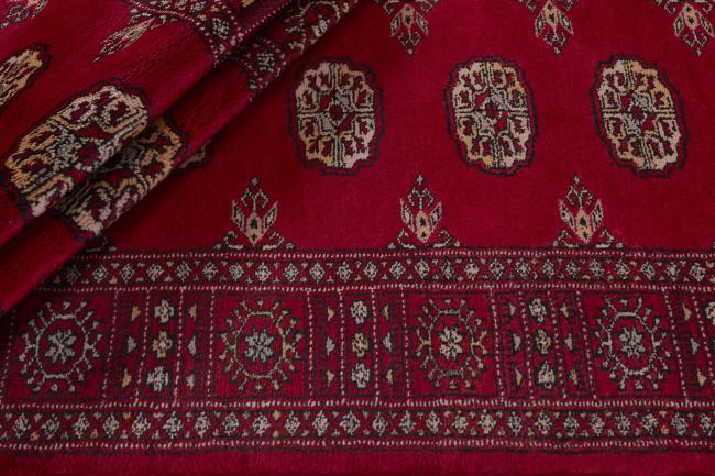 Pakistan Buchara 3ply - 2