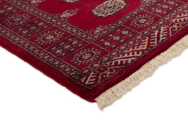 Pakistan Buchara 3ply - 3