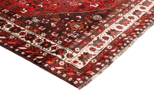 Shiraz - 4