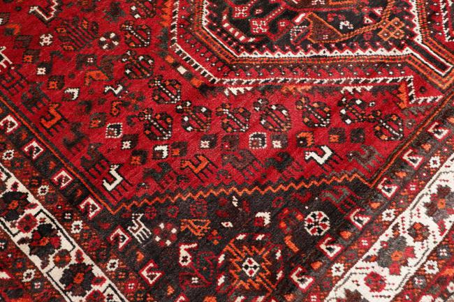 Shiraz - 5