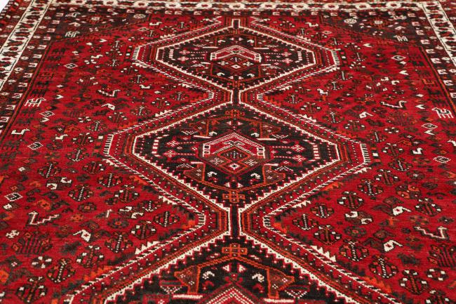 Shiraz - 7