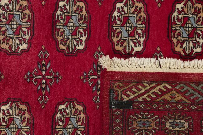 Pakistan Buchara 3ply - 1