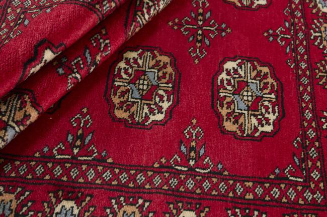 Pakistan Buchara 3ply - 2