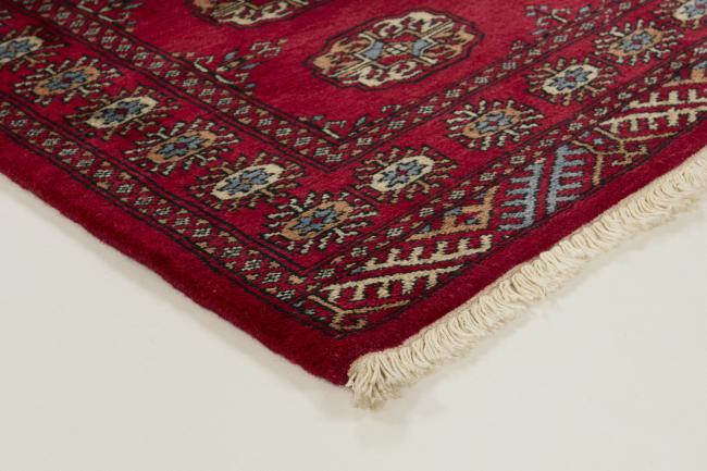 Pakistan Buchara 3ply - 3