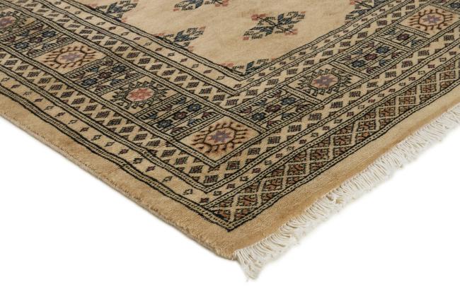 Pakistan Buchara 3ply - 3