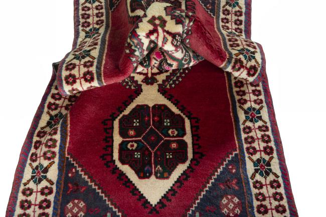 Shiraz - 8