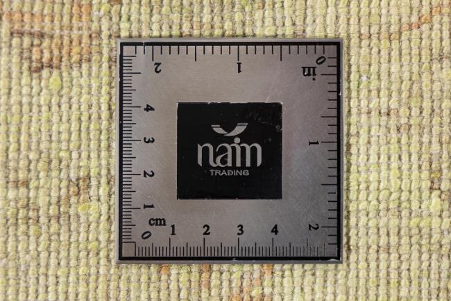 Colored Ziegler - 10