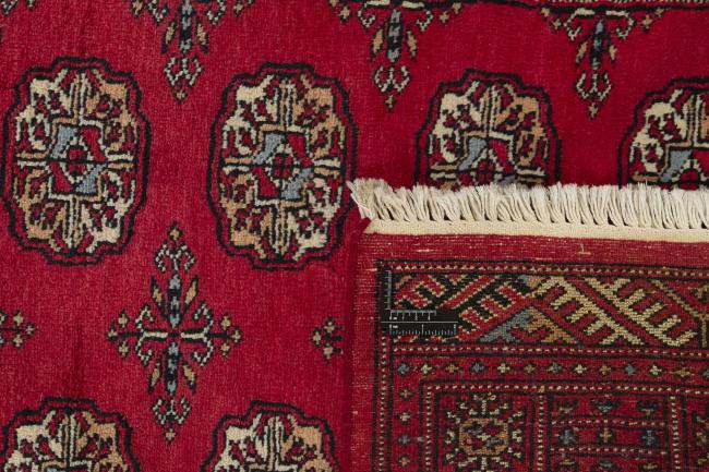 Pakistan Buchara 3ply - 1