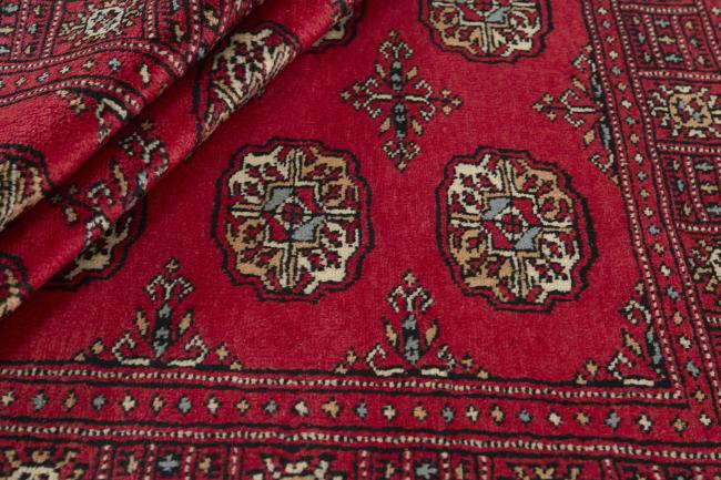 Pakistan Buchara 3ply - 2
