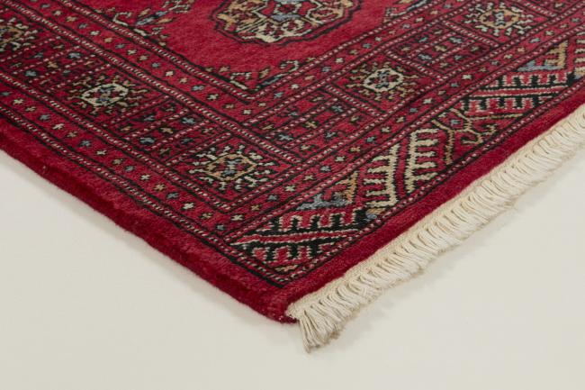 Pakistan Buchara 3ply - 3