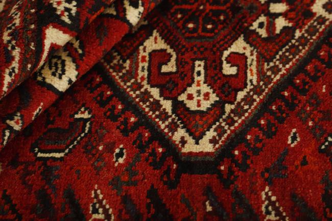 Shiraz - 2