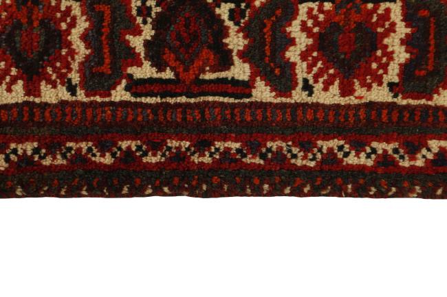 Shiraz - 3