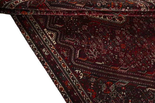 Shiraz - 8