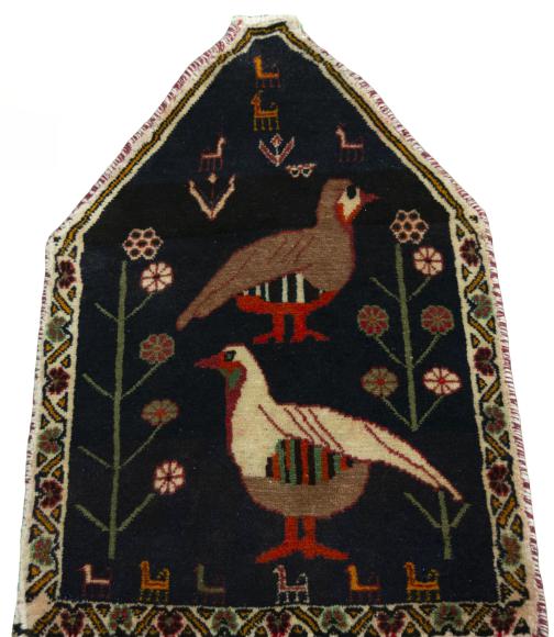 Shiraz - 3