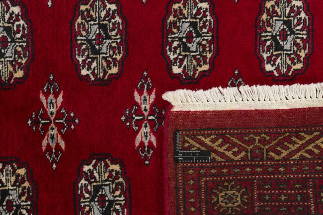 Pakistan Buchara 3ply - 1