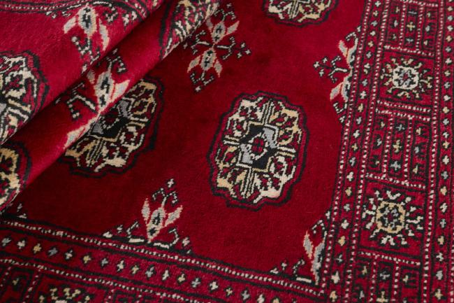 Pakistan Buchara 3ply - 2