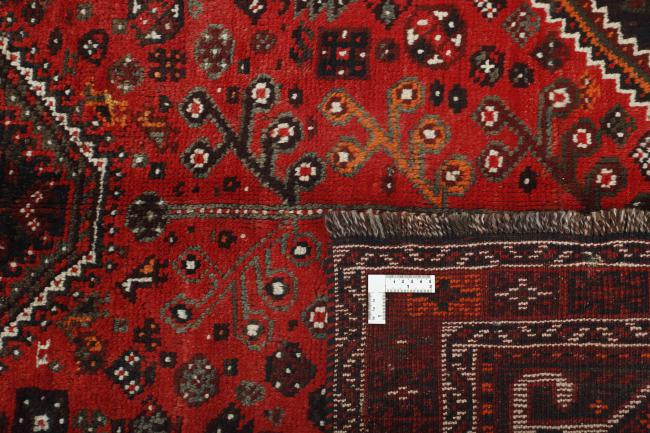Shiraz - 1