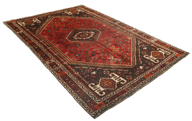 Shiraz - 4