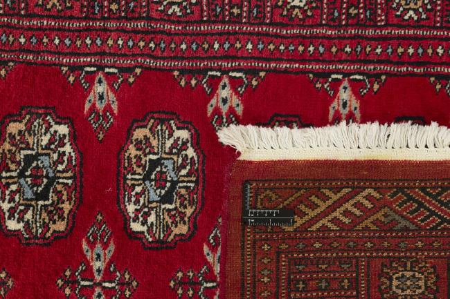 Pakistan Buchara 3ply - 1