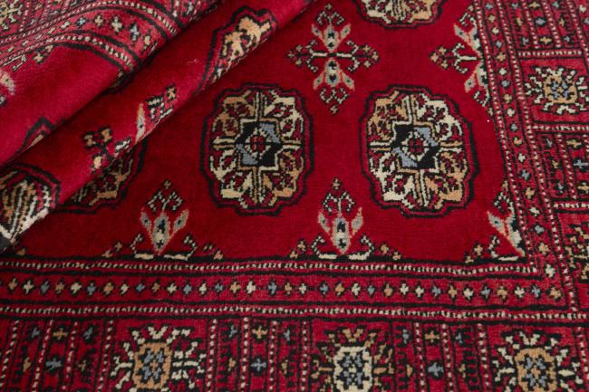 Pakistan Buchara 3ply - 2