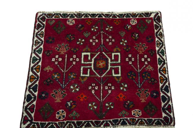 Shiraz - 3