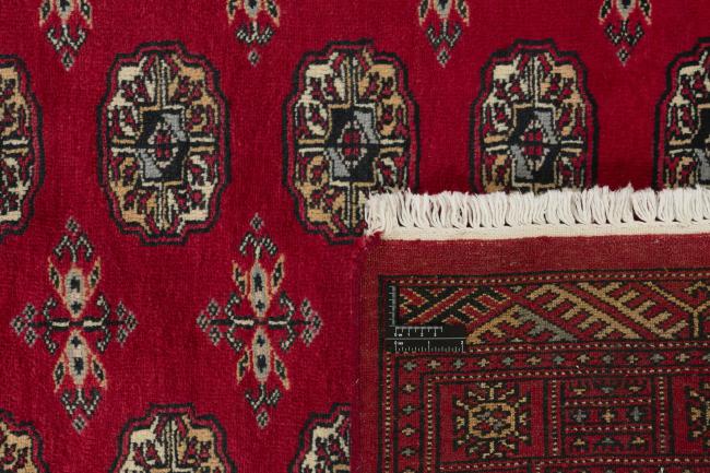 Pakistan Buchara 3ply - 1