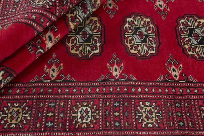 Pakistan Buchara 3ply - 2