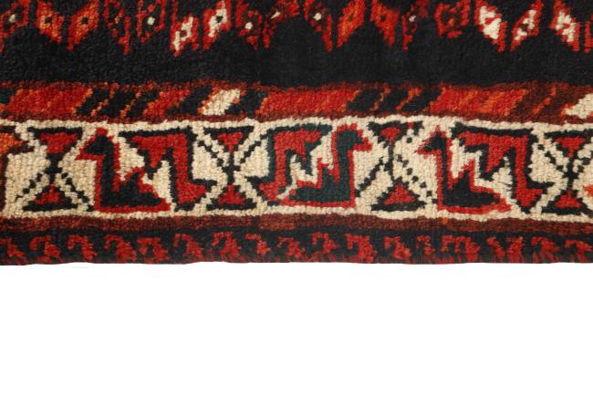 Shiraz - 3