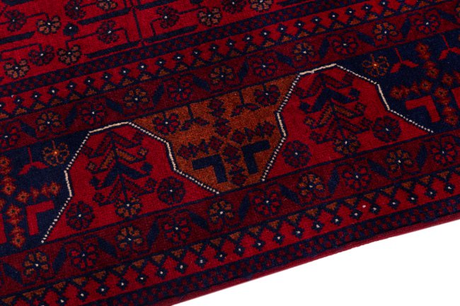Khal Mohammadi Belgique - 4