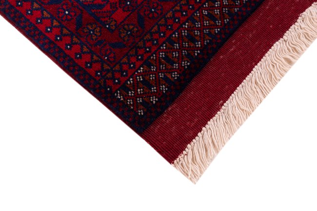Khal Mohammadi Belgique - 5